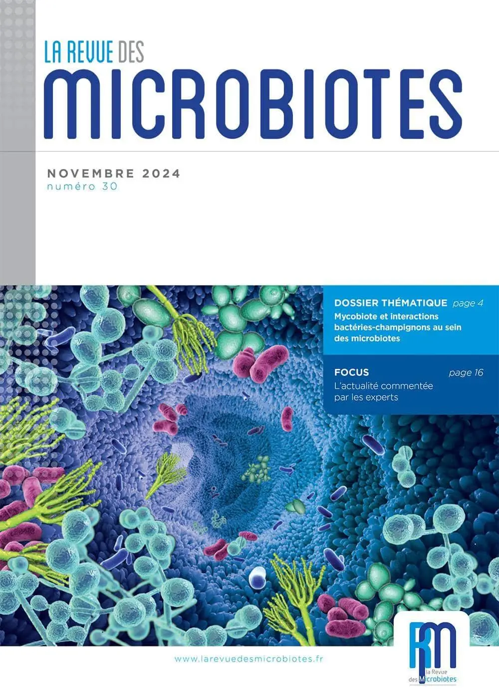 Mycobiote et interactions bactéries-champignons au sein des microbiotes